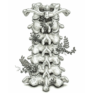 欧美巨乳人妖肛交
